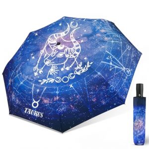 Compact Travel Umbrella with Constellation Design