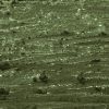 22 Camo Green Matte
