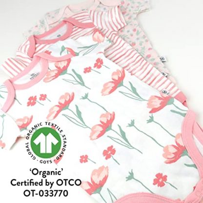 Unisex Baby 3-Pack Short Sleeve Bodysuits in 100% Organic Cotton - Image 4