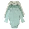 Sage Ombre