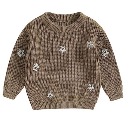 Petite Petal-Embroidered Crewneck Pullover for Infants