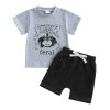 Raccoon Gray