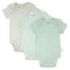 Sage Ombre