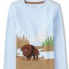 Bison