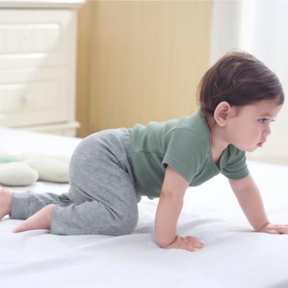 Summer Delights Baby Bodysuit and Pant Set - Image 3