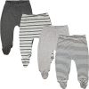 Gray Stripe 4-pack