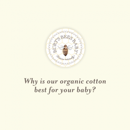 Organic Cotton Short Sleeve V-Neck Bodysuit in Midnight - Image 6