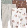 Brown Safari