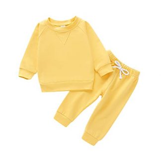 Delightful Autumn Ensemble for Toddlers - Long Sleeve Top and Pants Set