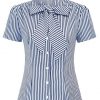 Blue Stripe