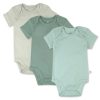 Ombre Sage