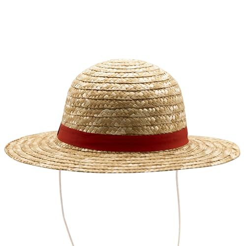 One Piece Luffy Straw Hat Cosplay